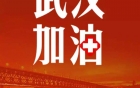 驰援湖北！ 内江10名医护人员整装待发——