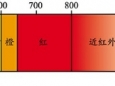 带您了解“红光治疗”  改善皮肤健康