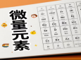 揭秘身体里的微量元素
