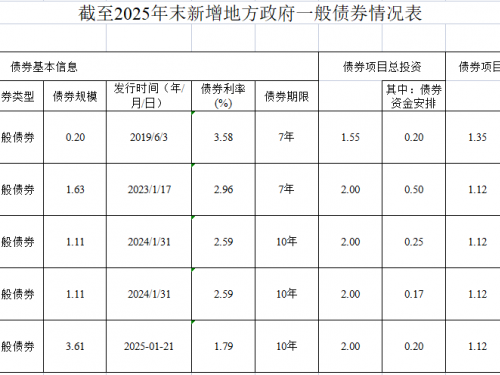 内江市第二人民医院截止2025年存续期间债券资金项目信息公开